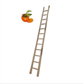 تصویر نردبان چوبی 5 متری کد 169 