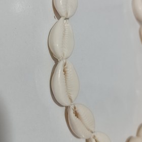 تصویر گردنبندصدفی 