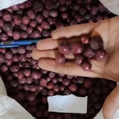 تصویر عناب خشک اعلاء ‌(فروش عمده) jujube