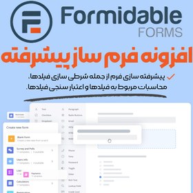 خرید و قیمت افزونه فرم ساز پیشرفته وردپرس Formidable Forms Pro | ترب