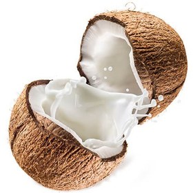 تصویر پودر شیر نارگیل مگی ١ کیلوگرم- سریلانکا Maggi ا Coconut milk powder Coconut milk powder