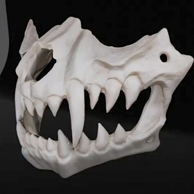 تصویر ماسک جمجمه حیوان 