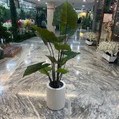 تصویر درختچه باباادم جنگلی مصنوعی 160 