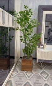 تصویر گلدان ترمووود مربعی مدل G69 