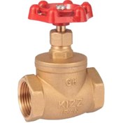 تصویر شیر فلکه سوزنی کیزایران - 1/2 2 اینچ Globe valve