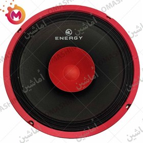 تصویر میدرنج ۱۰ اینچ انرژی (Energy) مدل YD-1040 Midrange Energy 10 Inch YD-1040