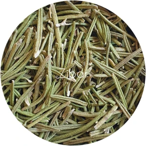 تصویر فروشگاه زیبار