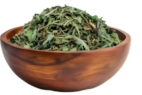 تصویر برگ کاسنی 