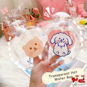 تصویر کیسه آبگرم شفاف طرح خرس و گل 