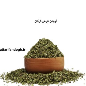 تصویر آویشن کوهی گرگان 