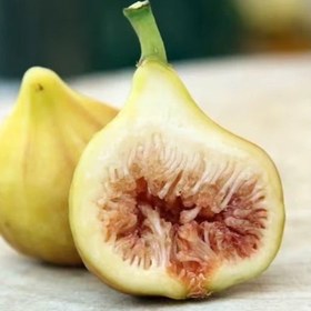 تصویر بذر انجیر زرد 10 عددی 