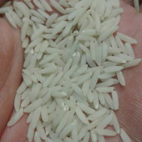تصویر برنج هاشمی 