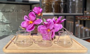 تصویر سرویس چای خوری پیرکس کمر باریک ست 6 عددی