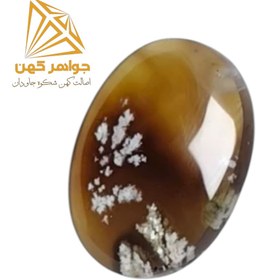 تصویر نگین شجر بهاری کد(68) 