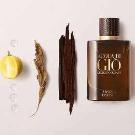 تصویر تستر اماراتی جورجیو آرمانی آکوا دی جیو ابسولو اینستینکت ادو پرفیوم 75 میلی لیتر | Tester Giorgio Armani Acqua di Giò Absolu Instinct 75ml EDP 