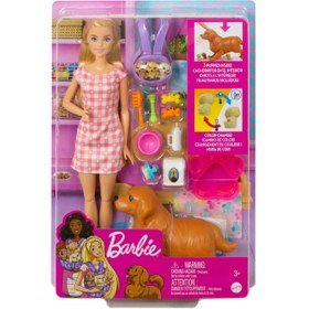 تصویر ست بازی و عروسک توله‌سگ‌های باربی برند barbie Barbie Newborn Pups Playset & Doll