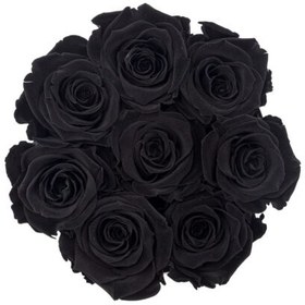 تصویر Black Eternal Roses in Small Flocked Coco Box | کد: ZNB-1IZD 