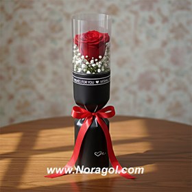 تصویر تک شاخه گل رز 