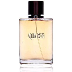 تصویر عطر ادکلن آکوا دی جیو ابسولو 100 میل 