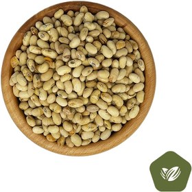 تصویر سویا نمکی 