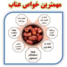 تصویر خرید اینترنتی عناب اعلا – 500 گرم 