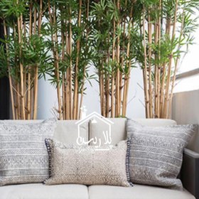 تصویر شاخه ی بامبو 16150 