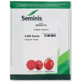 تصویر بذر گوجه فرنگی برنتا bernetta hybrid tomato seminis