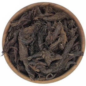 تصویر سنبل الطیب 