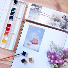 تصویر آبرنگ 12 رنگ افرا مدل Student 