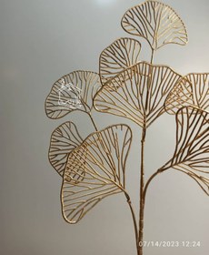 تصویر شاخه گل بادبزن طلایی 