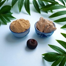 تصویر زنجبیل قلم 