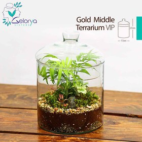 تصویر تراریوم گلد میدل vip 
