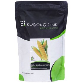 تصویر ذرت شیرین شایان F1 