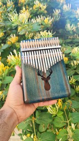 تصویر کالیمبا کالی‌مون حفره گوزنی رنگ آبی 