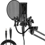 تصویر میکروفون استودیویی یانمای مدل MICPRO X2 کندانسور 