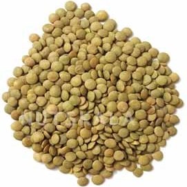تصویر عدس درشت 