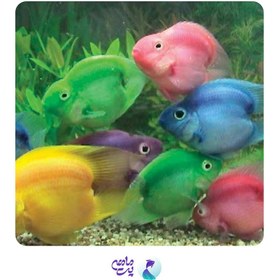 تصویر پک ماهی پرت (3 عددی) 