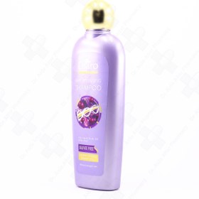 تصویر شامپو فاقد سولفات مناسب مو نازک و حجم دهنده حجم 300 میل الارو Ellaro Hair Volumizing Sulfate Free Shampoo 300 ml