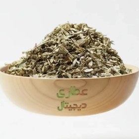 تصویر شکوفه سنجد 