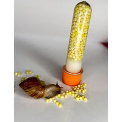 تصویر خاویار حلزون 