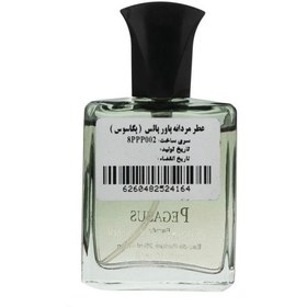 تصویر ادوپرفیوم مردانه مینی مارلی پگاسوس 25میل پاور پالس Power Pulse Pegasus Eau De Parfum 25ml