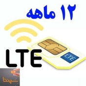 تصویر سیم کارت TD-LTE ایرانسل همراه با اینترنت ۱۲ ماهه سپنتا 