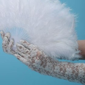 تصویر بادبزن عروس 