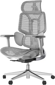 تصویر صندلی اداری ارگونومیک Hbada E3 دسته سه بعدی قابل تنظیم خاکستری - ارسال 20 روز کاری Hbada E3 Ergonomic Office Chair 3D Adjustable Armrests Grey