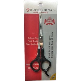 تصویر قیچی پیتاژ لیون مدل 2002tti 