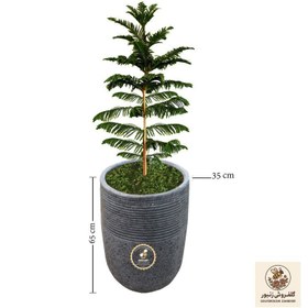 تصویر نان بیکیری گندم - مانی | کد: ZNB-131G 