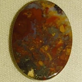 تصویر شجر زیبا 