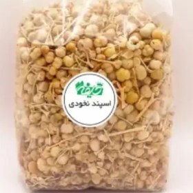 تصویر اسپند / اسفند نخودی خلیفه 