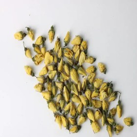 تصویر غنچه زرد نسترن 