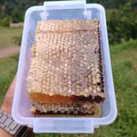 تصویر عسل طبیعی سراب باموم ((به شرط آزمایش))(یک کیلوگرمی) ا asal asal